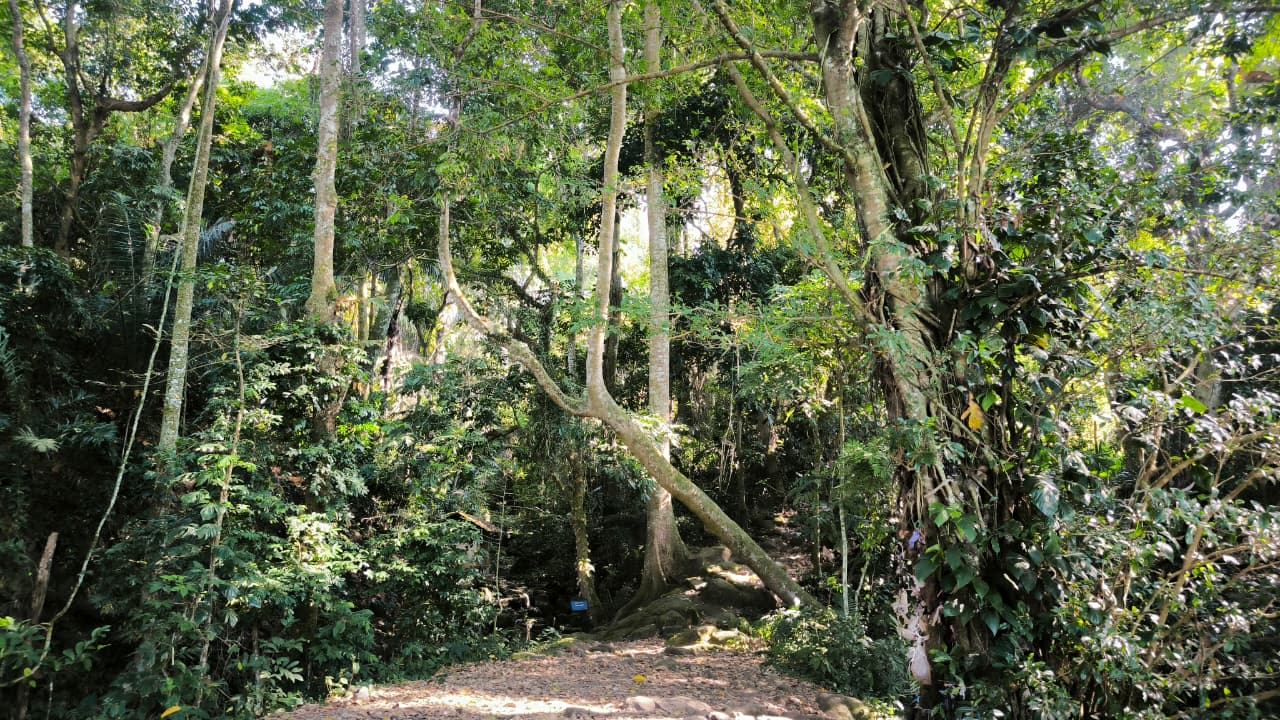Galeri