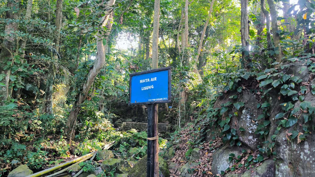 Galeri